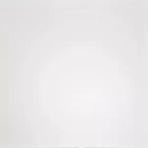 Керамогранит Домино (Domino) 600*600 белый G-100/MR — купить в Абакане