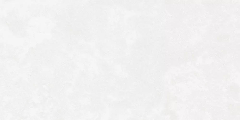Керамогранит Central Park (Централ Парк) 600*1200 белый K-701/MR — купить в Абакане