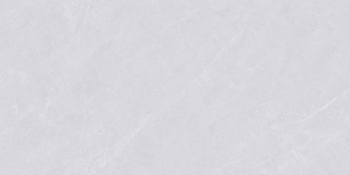 Керамогранит "Wan Sheng" Glazed (1200*600 мм) Серый D12620 — купить в Абакане