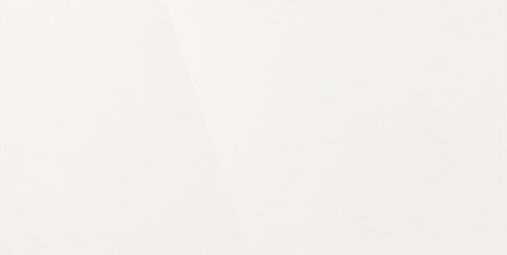 Керамогранит "Уральский Гранит" Палитра (1200*600 мм) Белый UF001PR — купить в Абакане