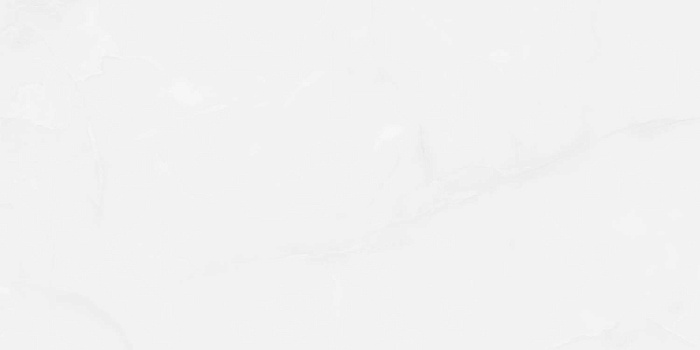 Керамогранит "Wan Sheng" Glazed (1200*600 мм) Серый D12617 — купить в Абакане