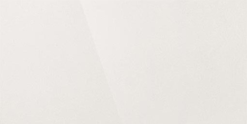 Керамогранит "Уральский Гранит" Палитра (1200*600 мм) Белый UF010PR — купить в Абакане