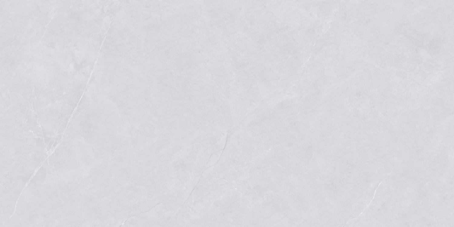 Керамогранит "Wan Sheng" Glazed (1200*600 мм) Серый D12620 — купить в Абакане