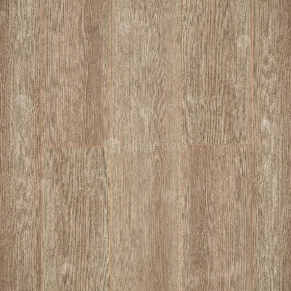 Ламинат "Camsan" Дуб Кашемир (1380*190*10 мм) — купить в Абакане