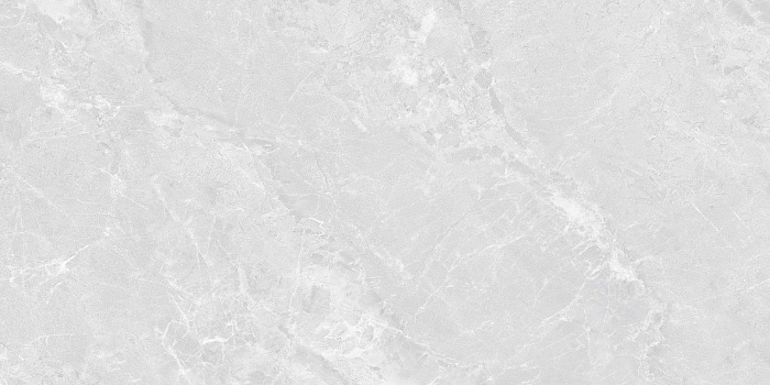 Керамогранит "Wan Sheng" Butterfly (1200*600 мм) Серый — купить в Абакане