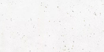 Керамогранит Гранелла (Granella) 600*1200 белый G-40/MR — фото и характеристики